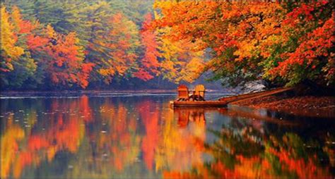 Top Ten New England Places To See Fall Foliage Maine In The Fall