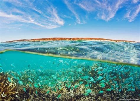 25 Ningaloo Reef Western Australia The Largest And Most Beautiful