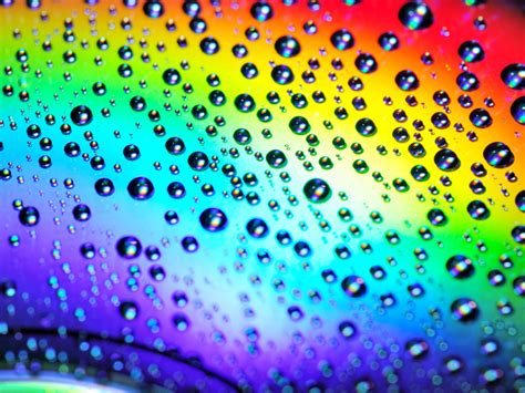 Rainbow Drops Wallpapers And Images Wallpapers Pictures