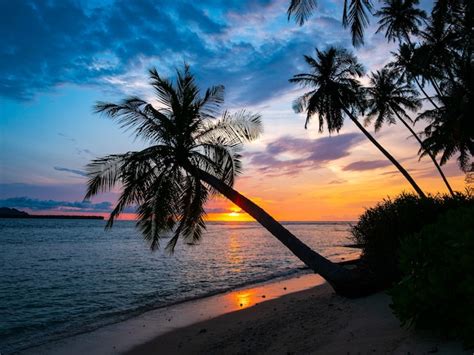 Premium Photo Sunrise Dramatic Sky On Sea Tropical Desert Beach