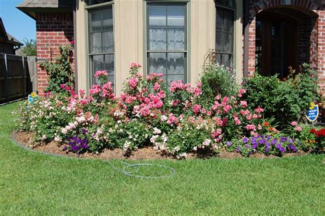 10 Pretty Bushes For Front Of House