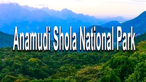 Anamudi Shola National Park Mathappu Idukki Kerala India Youtube