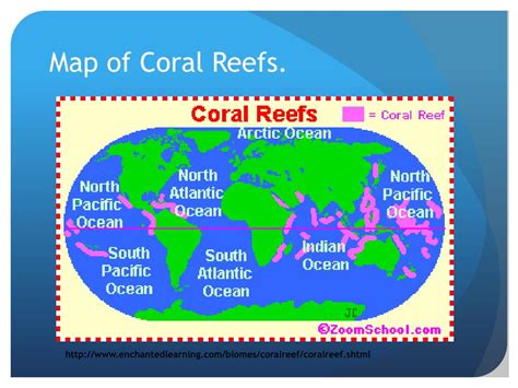 Ppt Coral Reef Powerpoint Presentation Free Download Id2808978