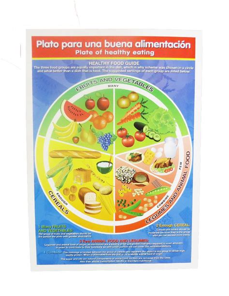 Material Didactico Imprimir El Plato Del Buen Comer Compartir