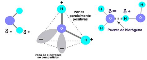 Principales Propiedades Físicas Químicas Y Biológicas Del Agua