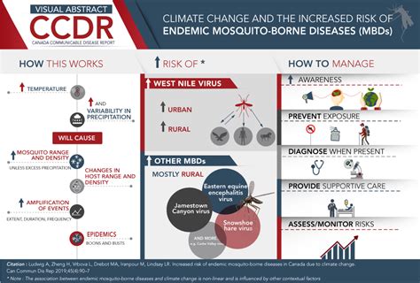 Endemic mosquito-borne diseases due to climate changes - Canada.ca