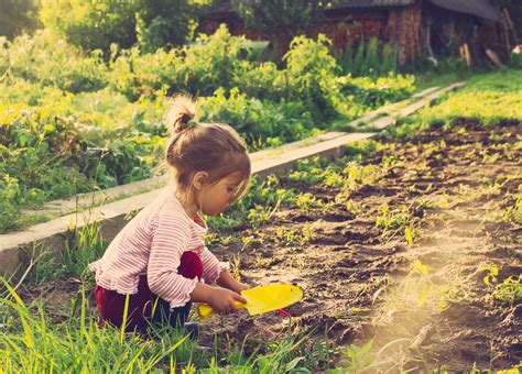 Beneficios De La Jardinería Con Niños Pequeños Babysparks