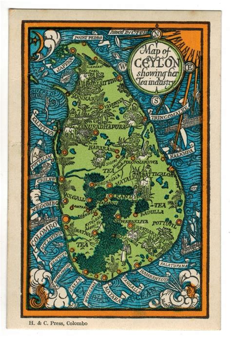 Map Of Ceylon Showing Her Tea Industry Barron Maps
