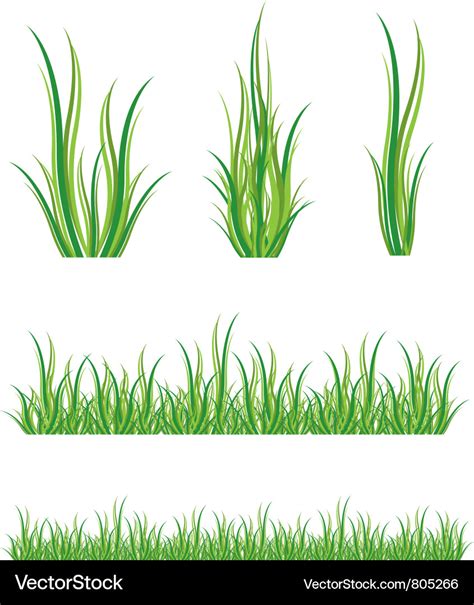 Set Of Green Grass Royalty Free Vector Image Vectorstock