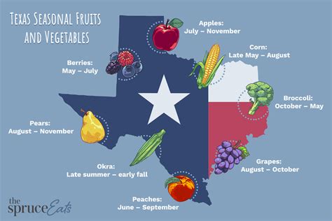 Seasonal Fruits And Vegetables Of Texas