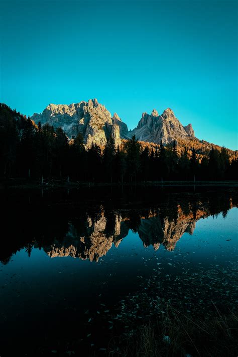 1000 Engaging Nature Photography Photos · Pexels · Free Stock Photos