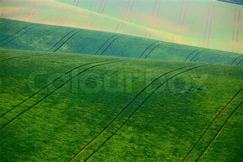 Green Spring Hills Arable Lands In Czech Moravia Stock Image Colourbox
