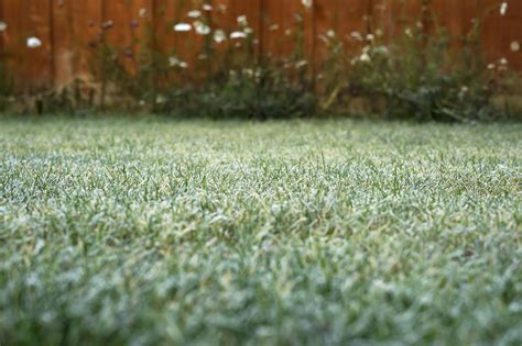 The best way to quickly and efficiently establish a lawn is with a sod installation. When is the Best Time to Lay Sod? | Sod University | Sod ...
