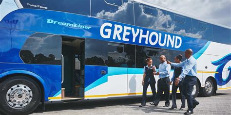 South African Bus Company Greyhound Shutting Down Pindula News