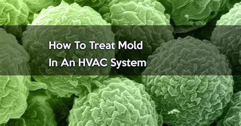 Inspection of air conditioning systems typically involves a visual assessment and surface sampling of accessible areas (e.g., supply and return air vents, return air plenums and supply air duct boots). Mold can be found in many places in your home, but people ...