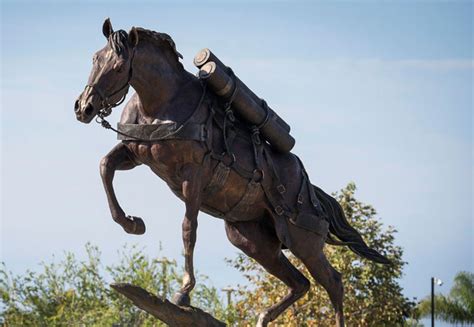 Heroic Marine War Horse Sgt Reckless Honored At Camp Pendleton With