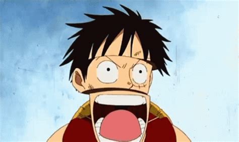 One Piece GIF One Piece Discover Share GIFs