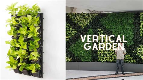 Jenis Tanaman Vertical Garden Yang Bisa Bikin Rumah Jadi Estetik Hot