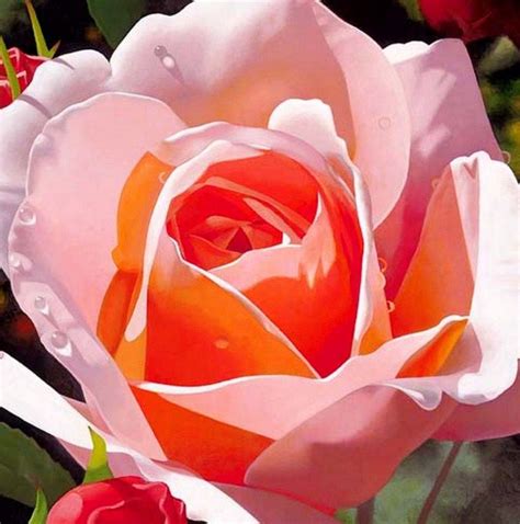 Pinturas Cuadros Lienzos Al Óleo Rosas Al óleo De Brian Davis Flower