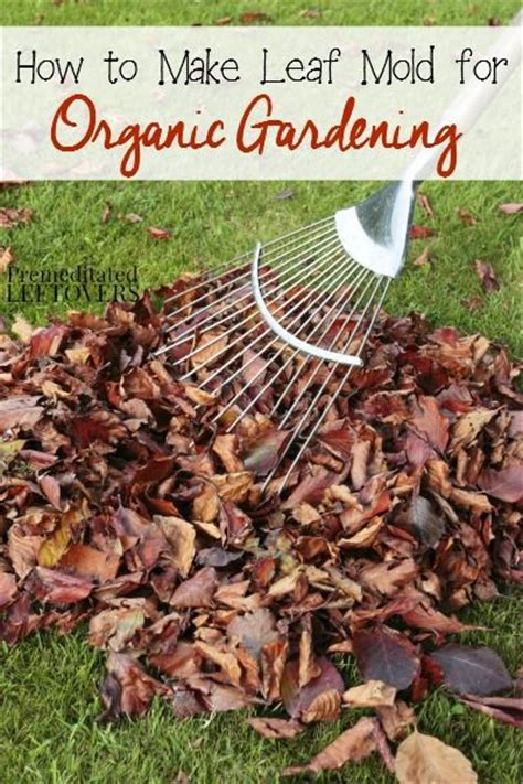How To Make Leaf Mold For Organic Gardening Tips For