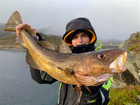Norway Shore Fishing Report Autumn 2020 Roundup Sportquest Holidays