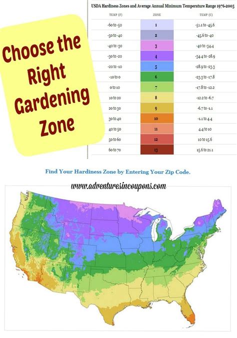 Remember that many—but not all—flowering vegetables are native to warm environments, including. Best 25+ Gardening zones ideas on Pinterest | Vegetable ...
