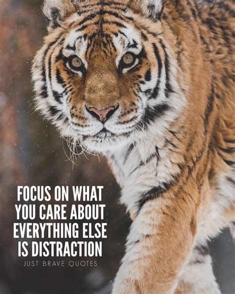 Tiger Motivational Quotes Best Of Forever Quotes