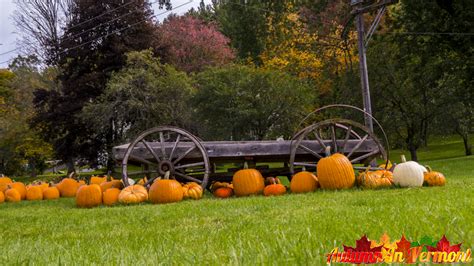 Autumn In Vermont Pumpkins In Stowe Vermont