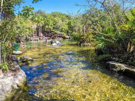 How to Visit Cenote Azul Playa del Carmen (2022 Guide)