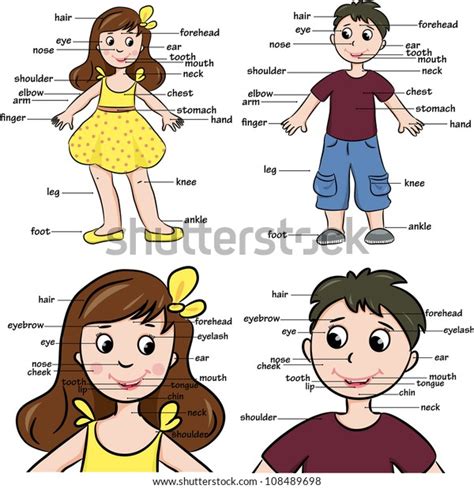 Cartoon Boy Girl Vocabulary Body Parts Stock Vector Royalty Free