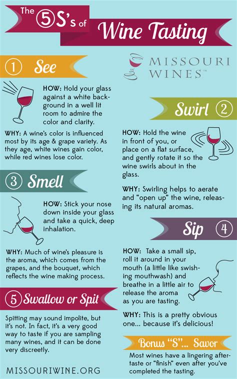 The 5 Ss Of Wine Tasting Taste Wine Like A Pro With These Easy To