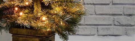 The colorado blue spruce is considered a 'transplant', so there was a petition to have it changed to honor native trees. WeRChristmas Pre-Lit Scandinavian Blue Spruce Christmas ...