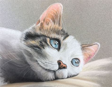 Pastel Drawing Of A Cat Cat Drawing Tutorial Soft Pastels Drawing