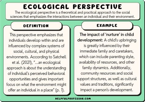 Ecological Perspective Definition And Examples 2024