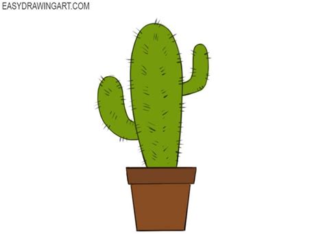 How To Draw A Cactus Cactus Drawing Cute Cactus Drawing Simple
