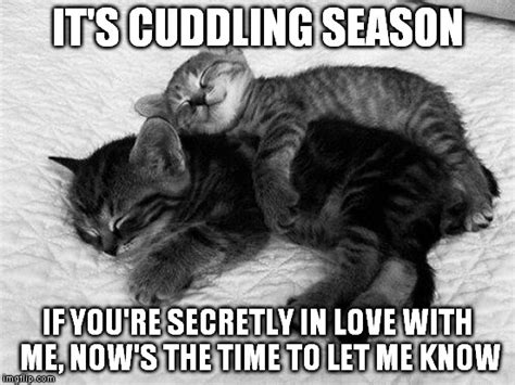 Cuddle Memes And S Imgflip