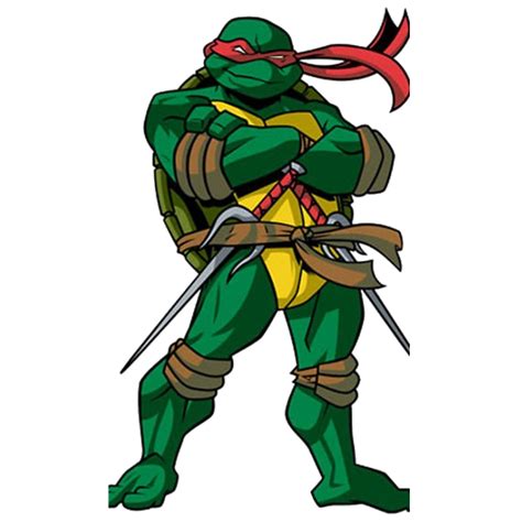 Teenage Mutant Ninja Turtles Raphael Michelangelo Leonardo Splinter