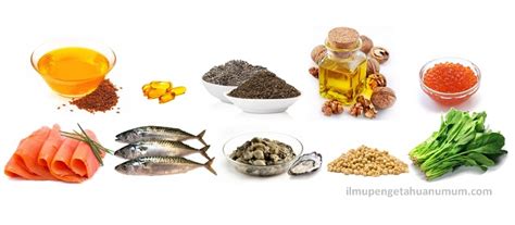 Keto kedai makanan yang sihat rendah karbohidrat makanan. 10 Makanan yang Mengandung OMEGA-3 Tertinggi - Ilmu ...