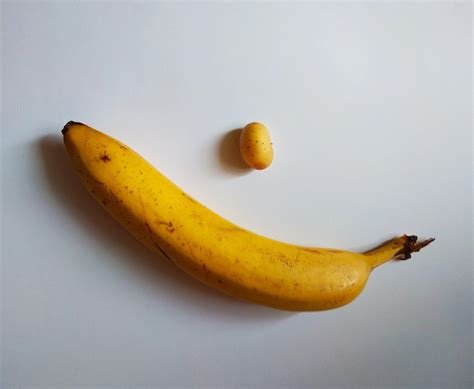 Smallest Potatoe Or Biggest Banana Bana For Scale Rbananasforscale
