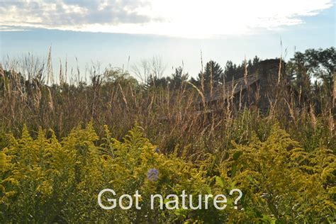 Cincinnati Nature Center. Got nature? | Nature, Nature quotes inspirational, Nature center