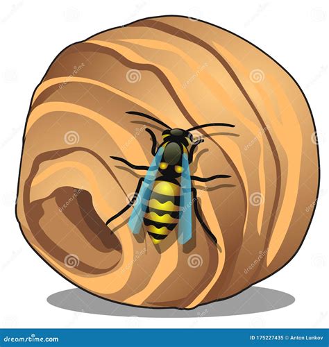 Hornet Or Wasp Breaking Through Wall Vector Illustration