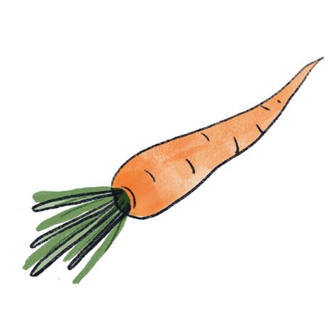 Freehand Isolated Orange Carrot Drawing 9337121 Png