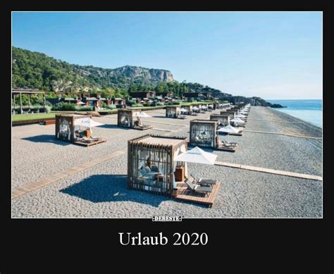 Sie sind so absurd und dumm, dass sie witzig werden. Urlaub 2020.. | Sprüche urlaub, Urlaub, Dumme lustige bilder