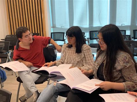 Estudiantes de pedagogía de la U de Chile participaron en definición