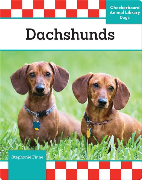 Dachshunds Childrens Book By Stephanie Finne Discover Childrens