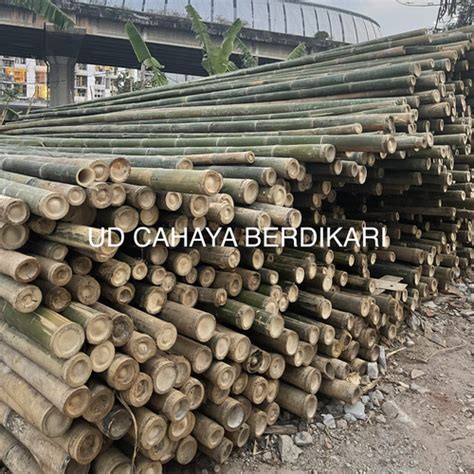 Jual Bambu Steger Murah 9 Cm Untuk Proyek Bangunan Free Ongkir