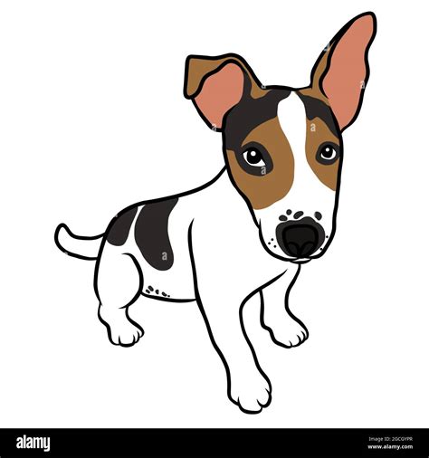 Jack Russell Puppy Dog Portrait Cartoon Vector Illustration Stock
