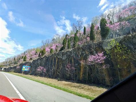 The cabin is located within the stony fork campground along the big walker mountain scenic byway. George Washington & Jefferson National Forests (Millboro ...