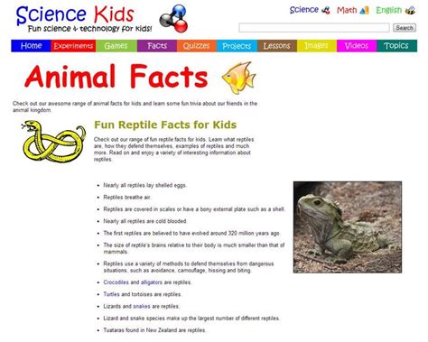 From why giraffes have black tongues to how long koalas actually sleep, these amazing animal facts are sure to blow your mind. Fun Animal Facts for Kids | Summer Nannying | Pinterest
