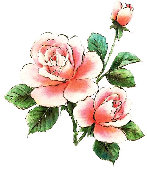 Habrumalas Pink Rose Clip Art Border Images
